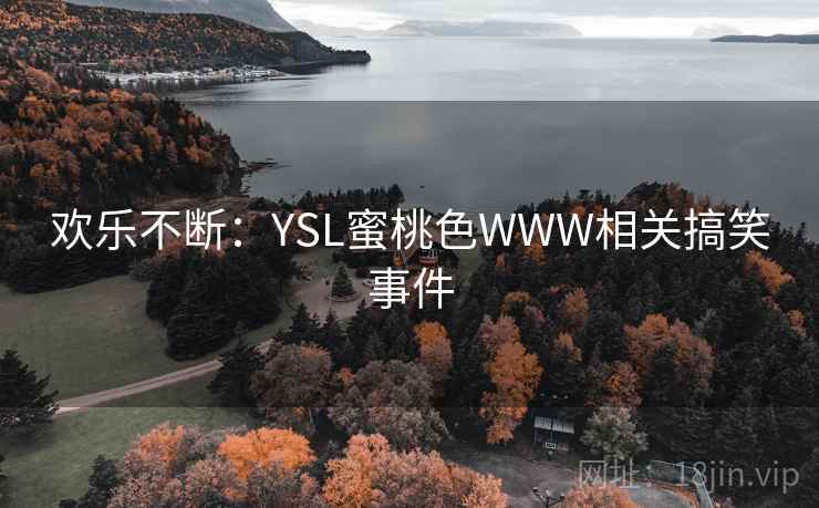 欢乐不断：YSL蜜桃色WWW相关搞笑事件