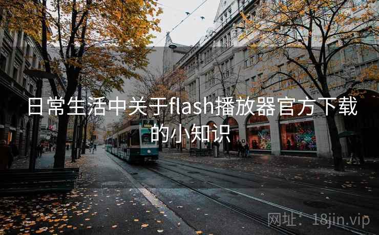 日常生活中关于flash播放器官方下载的小知识